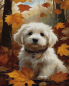 Preview: Diamond Painting Malteser